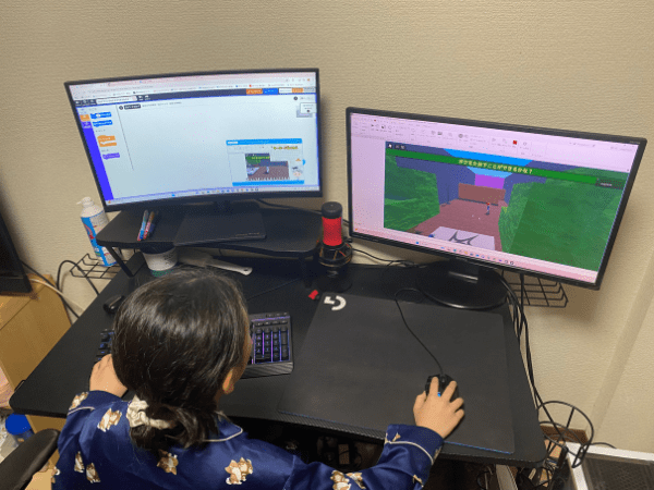 ロブロックスコースの内容