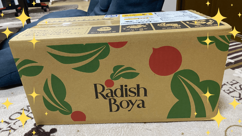 らでぃっしゅぼーやのお試しセットの段ボール箱