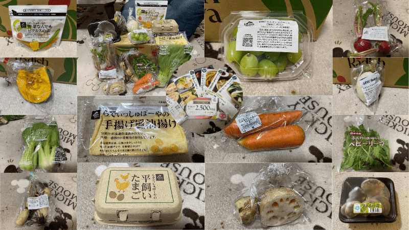 らでぃっしゅぼーやのお試しセットの実際に届いた野菜の内容