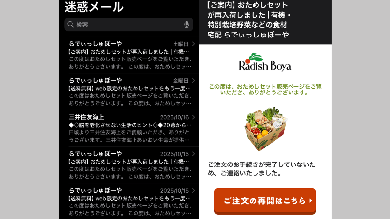 らでぃっしゅぼーやのお試しセット注文後に届くメール