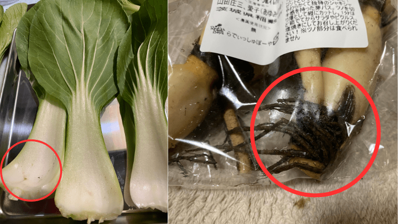 らでぃっしゅぼーやの泥が付いている野菜の状況