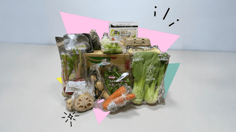 らでぃっしゅぼーやのお試しセット 内容一覧