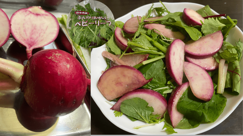 らでぃっしゅぼーやお試しセットの赤カブの断面と調理後の盛り付け