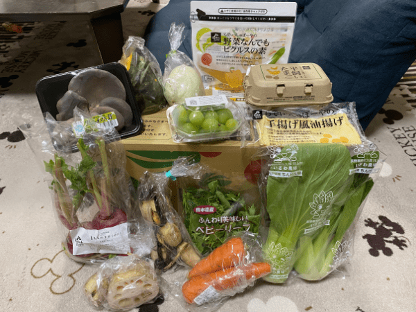 らでぃっしゅぼーやお試しセットの中身の内容