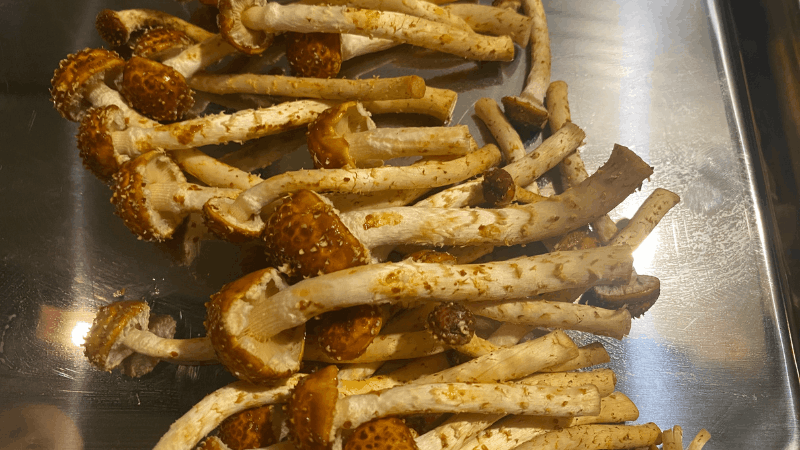 坂ノ途中の博多すぎたけを近くで見て傘のヌメリやぶつぶつの状態