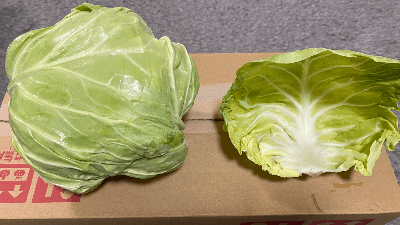 坂ノ途中のキャベツの外の葉を取った中身