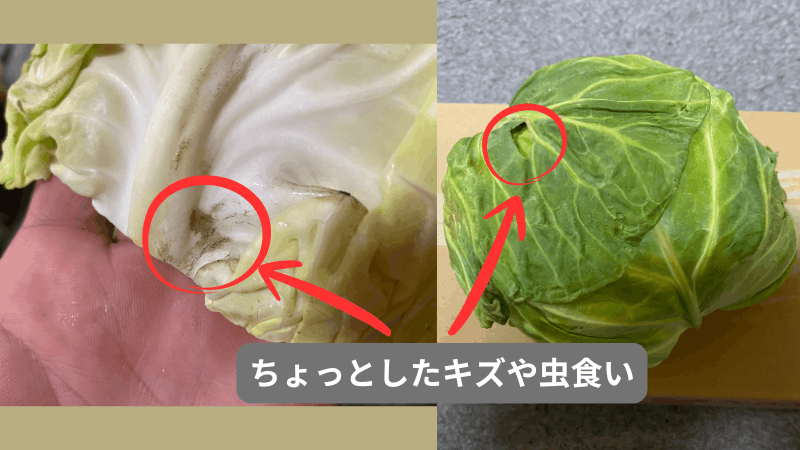 坂ノ途中のキャベツの虫食いと傷がわかる画像