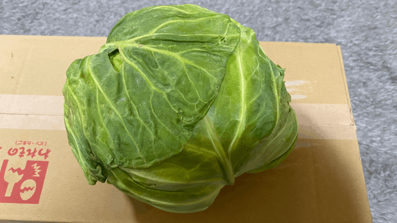 坂ノ途中から届いたキャベツの外の葉がしなしなになっている
