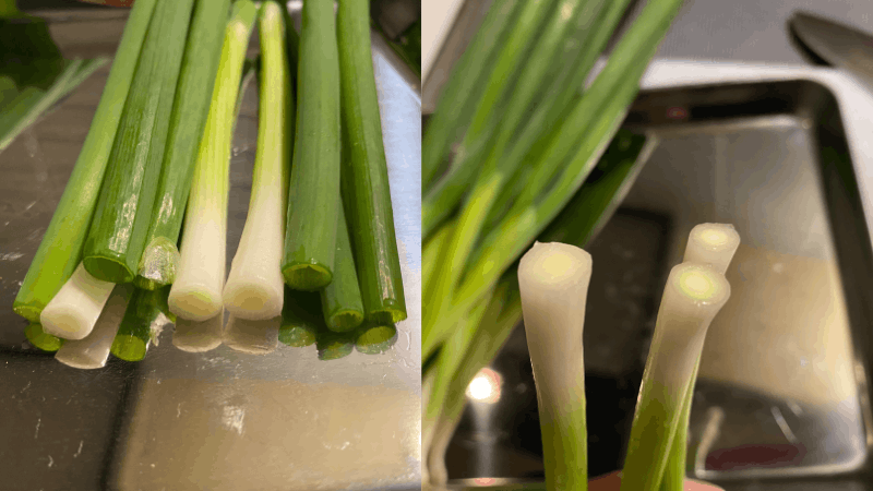 坂ノ途中から届いた葉ネギを切った断面