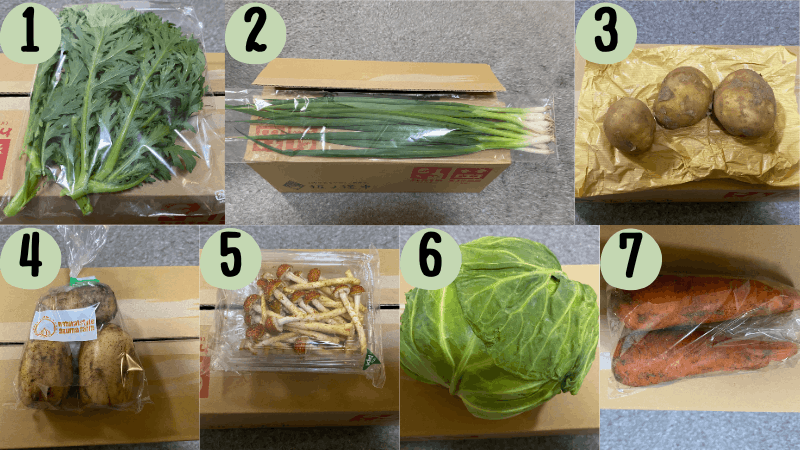 坂ノ途中のSサイズの全7種類の野菜