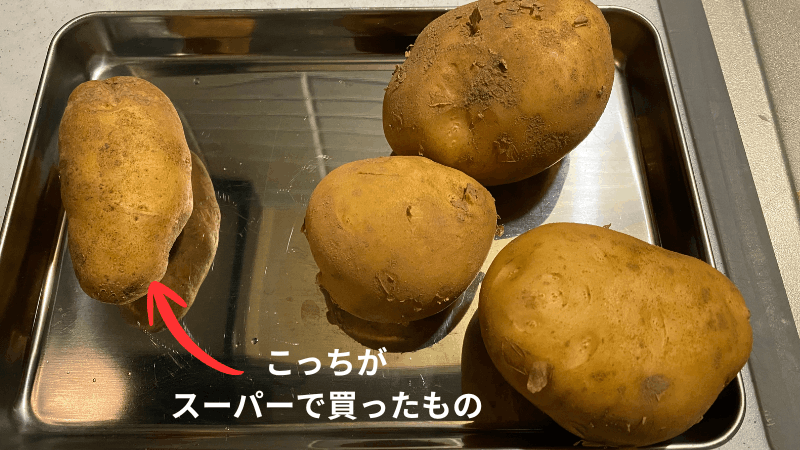坂ノ途中から届いたじゃがいもとスーパーのじゃがいもの大きさの違い