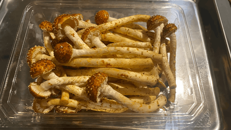 坂ノ途中から届いた博多すぎたけの全体の状態