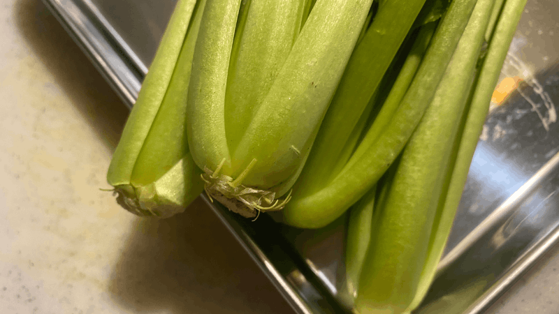 小松菜の根元に泥が付いていない