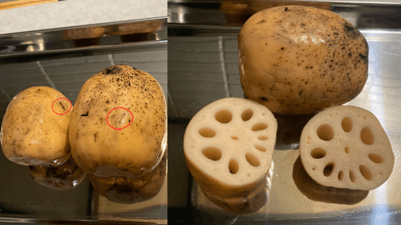 ビオマルシェのれんこんの表面の傷と切った断面