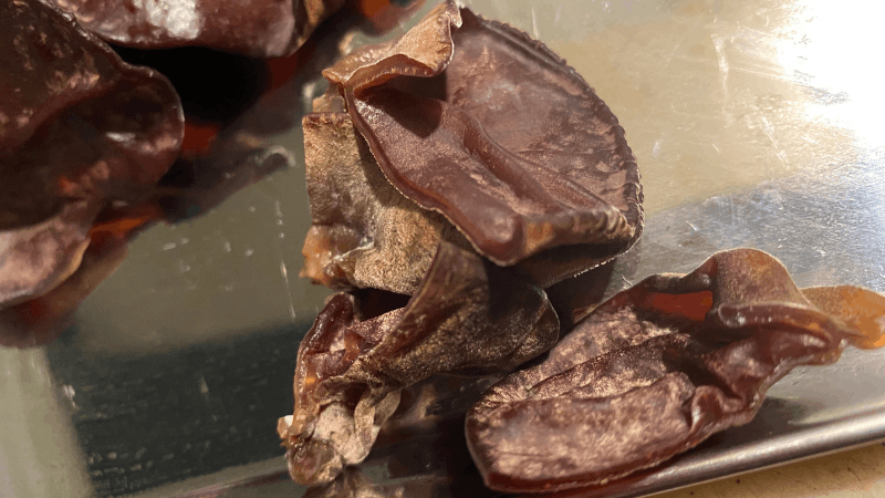 ビオマルシェから届いたキクラゲの切った断面