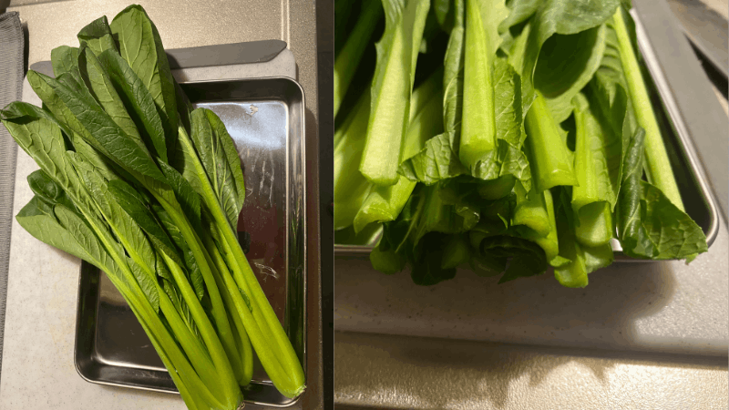 ビオマルシェから届いた小松菜の全体と切った断面