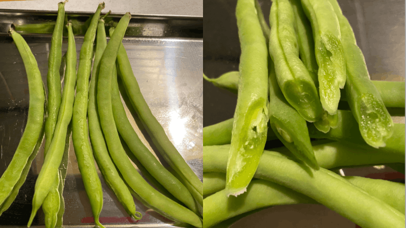 ビオマルシェから届いたいんげんの全体と切った断面