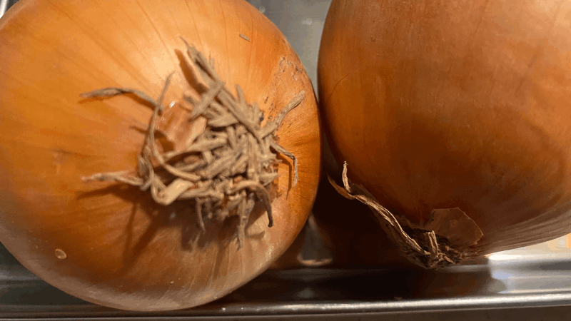 ビオマルシェのたまねぎが傷がなく泥もついていない