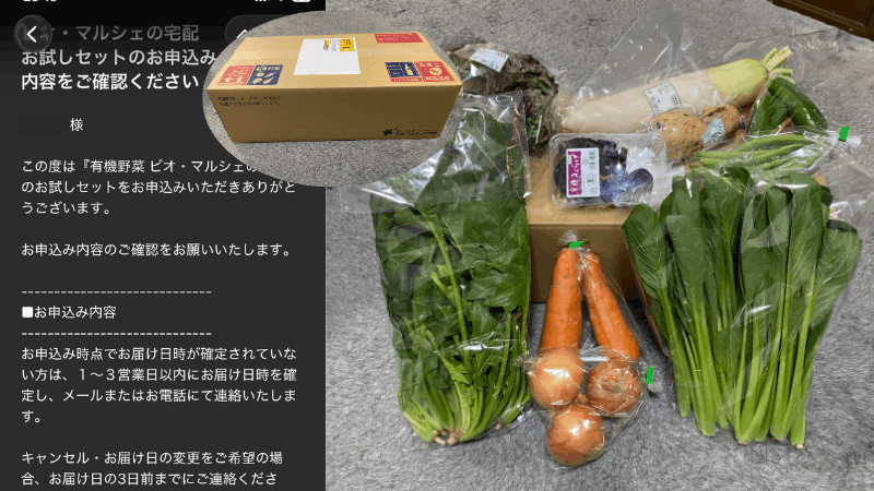 ビオマルシェのお試しセットを実際に注文して届いた目注文完了メールと野菜セット