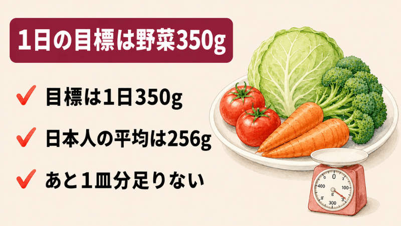 1日の野菜摂取目標350gと日本人の平均256gの差を示した図解